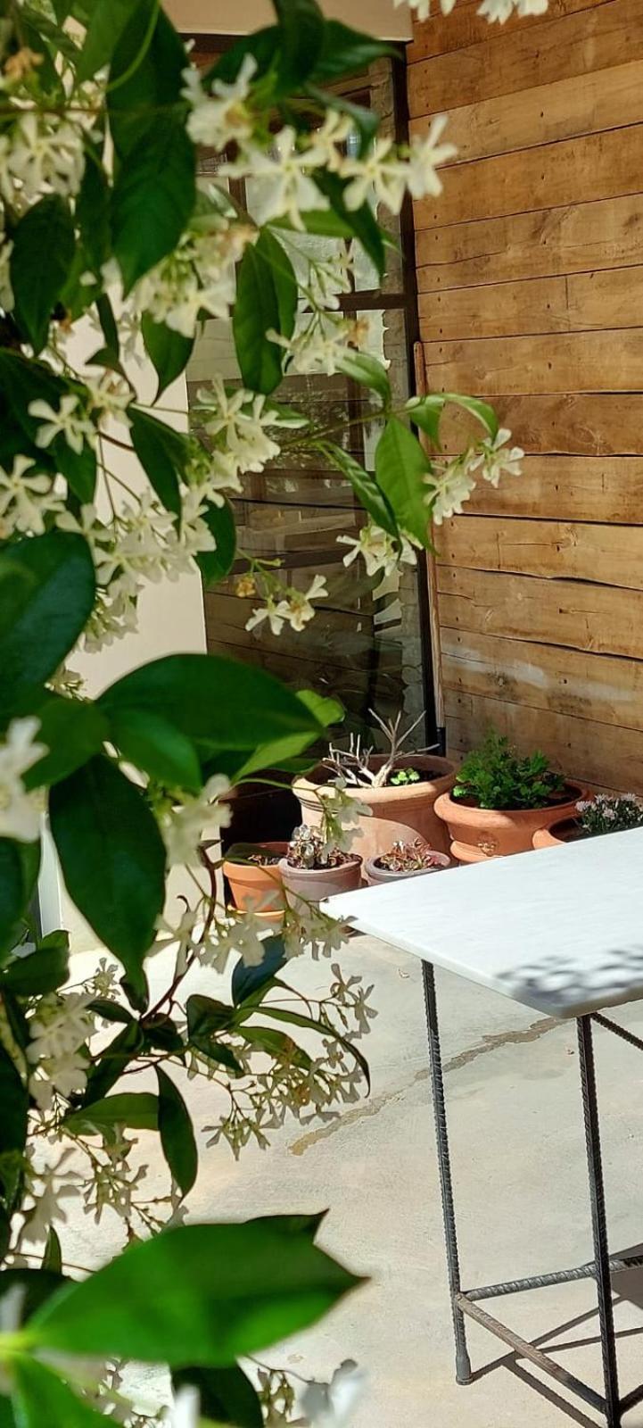 Bed and breakfast Mas Ferran Adults Only Pals